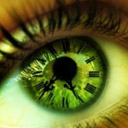 Administrator Avatar